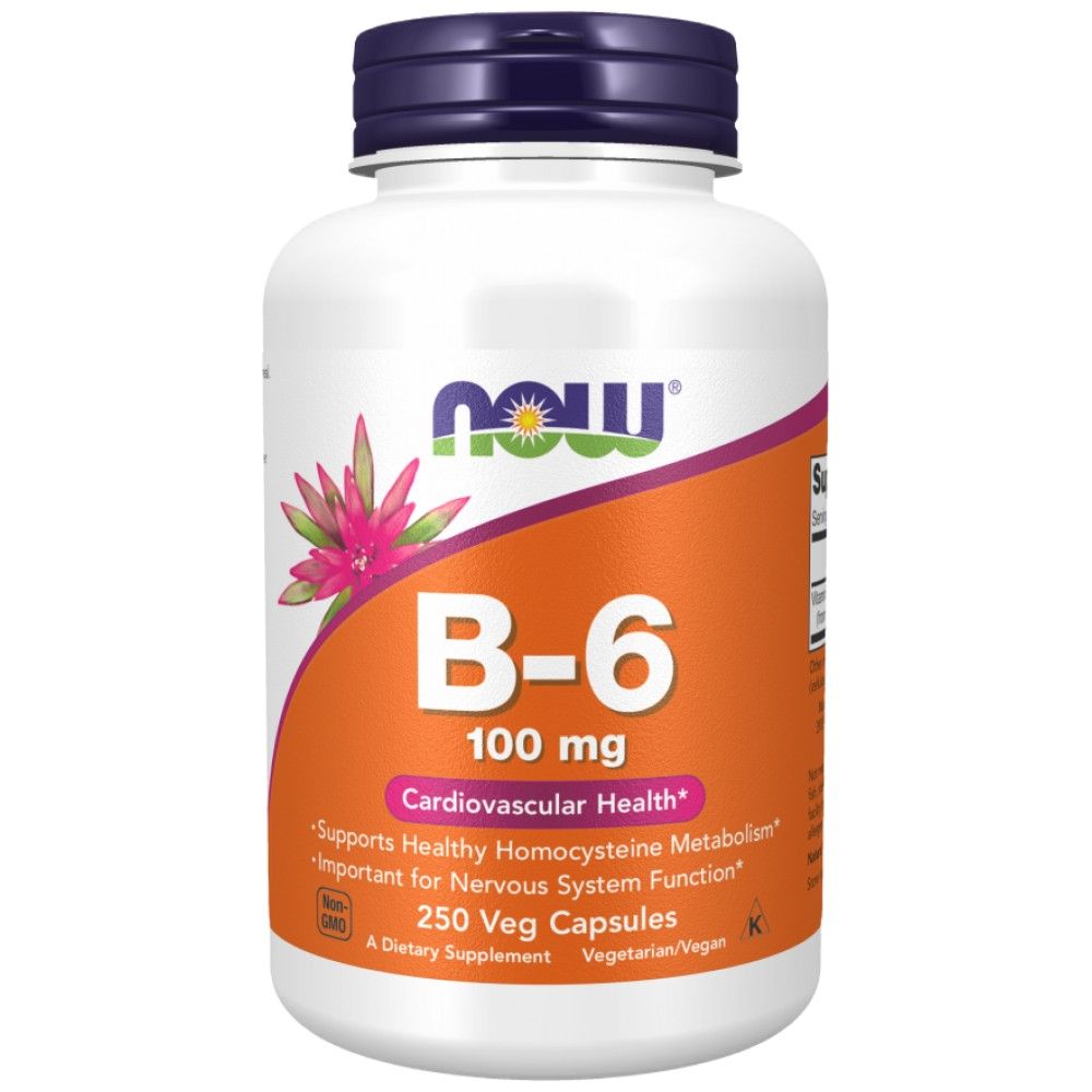 Vitamin B -6 100 mg - 250 kapsul