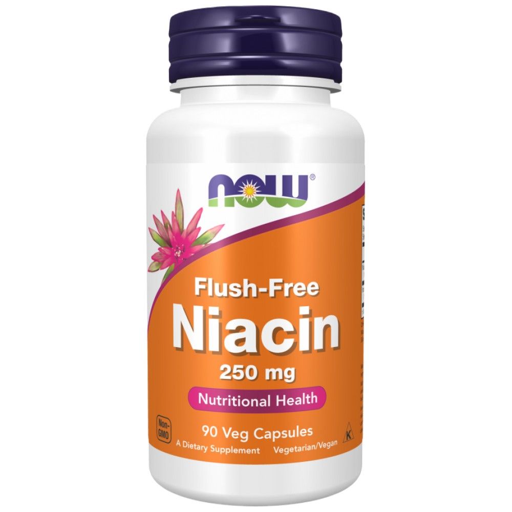Niacin brez izplaka 250 mg - 90 kapsul