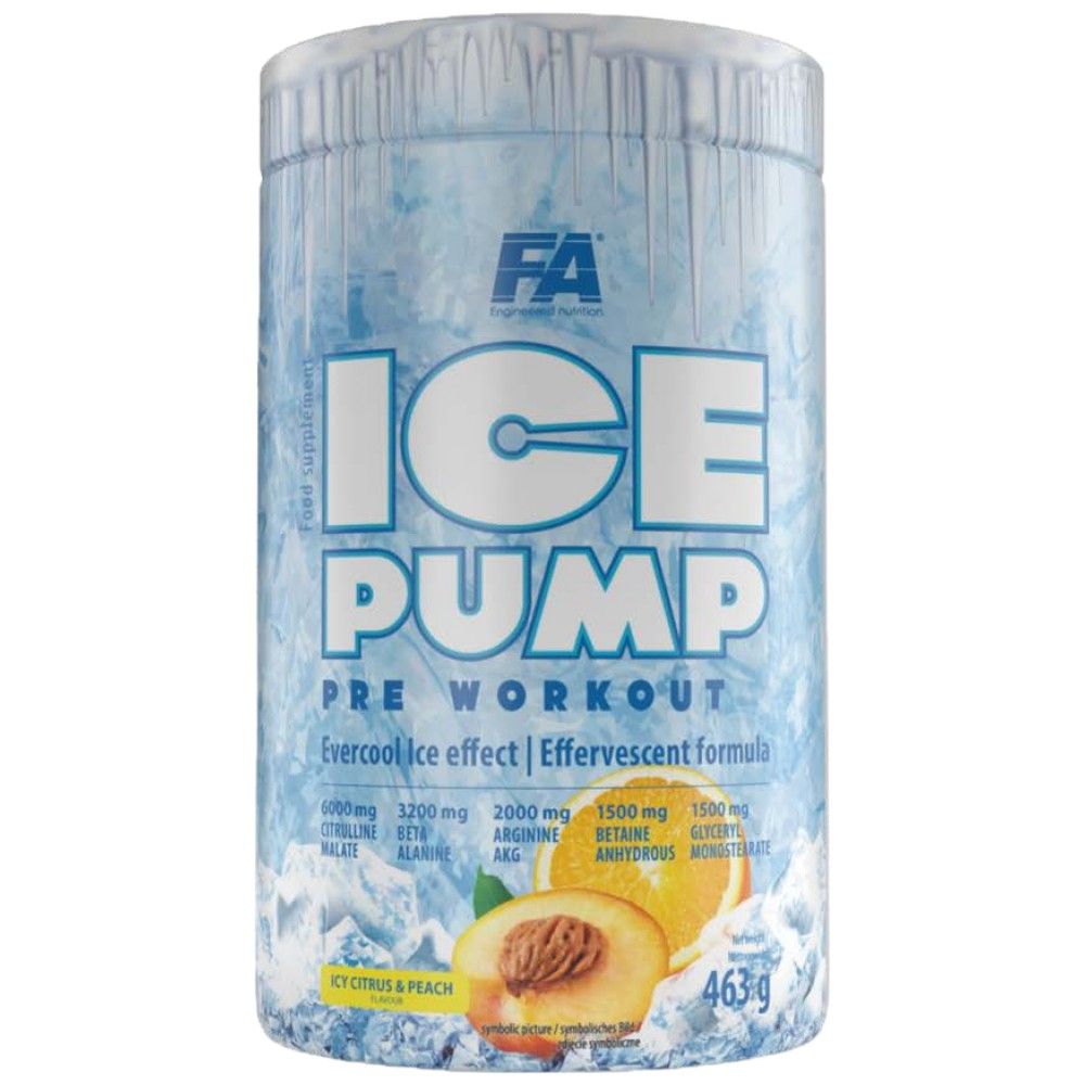 ICE črpalka / Evercool pred vadbo - 463 gramov