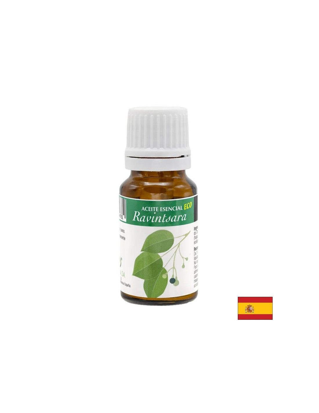 Eterično olje kamforskega drevesa, 10 ml