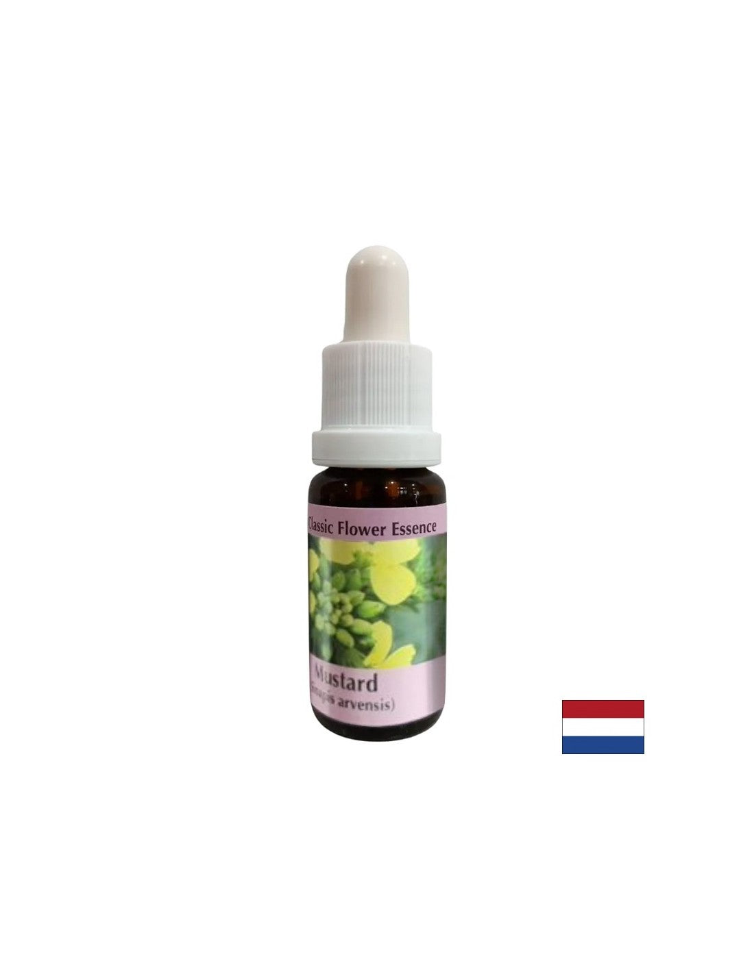 Proti negativnim mislim in depresiji - Essence Sinap št. 21, pade 15 ml