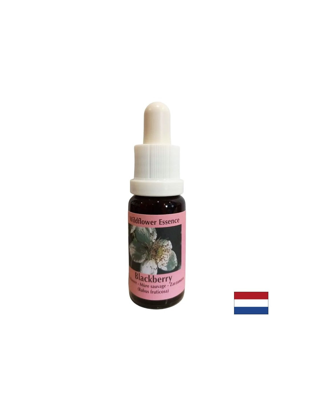 Stimulira vitalnost in aktivira ustvarjalnost - BlackBerry Essence št. 22, pade 15 ml