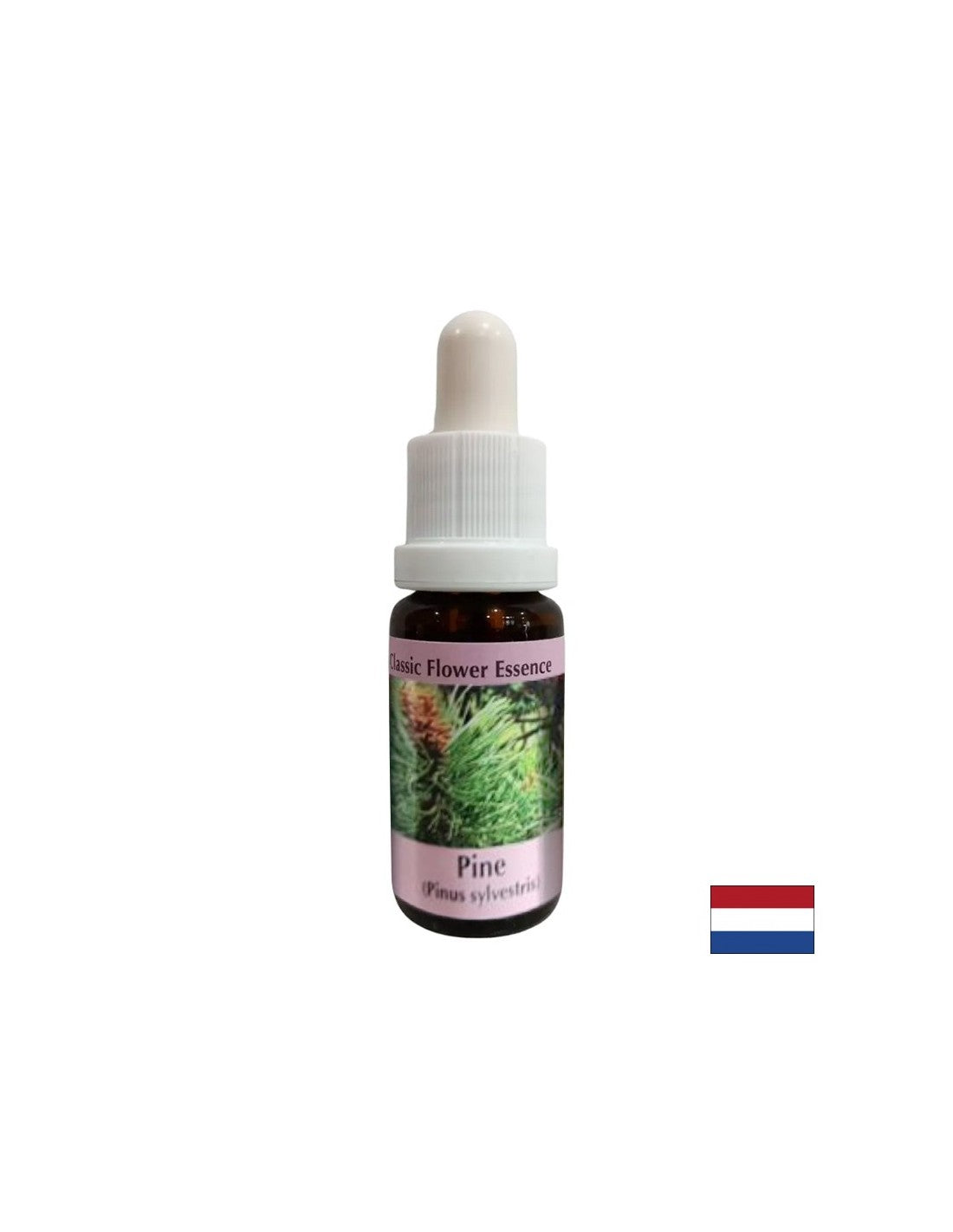 Ko se počutite krivega - Essence Boron št. 24, pade 15 ml