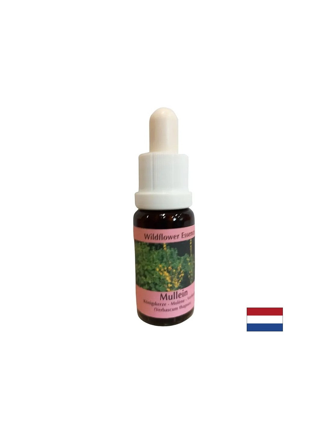 Podpira timsko delo in ustvarjalnost - Lopen Essence št. 29, pade 15 ml