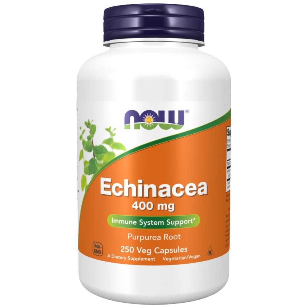 Echinacea 400 mg - 100 kapsul