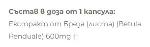 Izvleček iz breze 600 mg - 60 kapsul