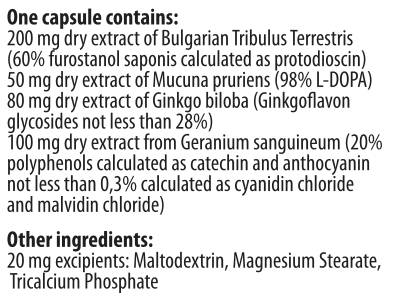 Sposobni moški 90 kapsul