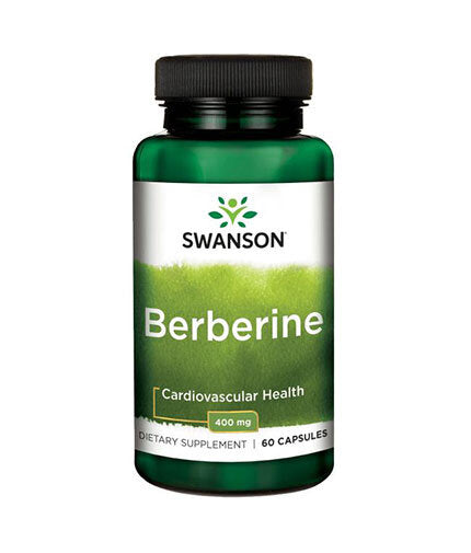 Berberin 400 mg - 60 kapsul