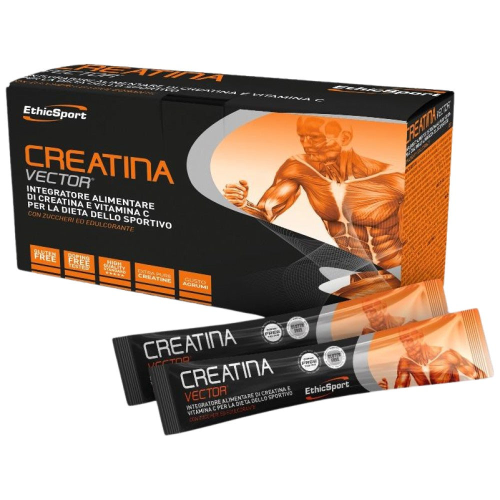 Creatina Vector | Kreatin in aminokisline - 20 x 8 gramov