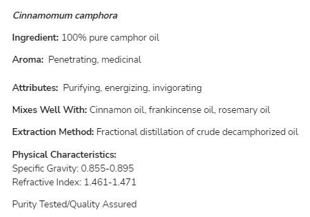 Kamforsko olje | 100% čista Cinnamomum Camphora - 30 ml