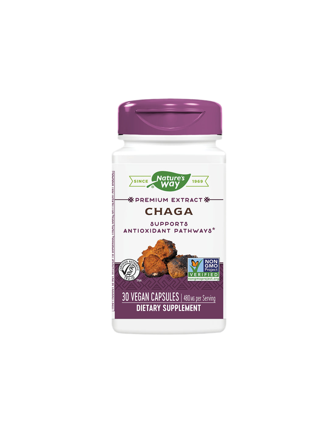 Chaga / chaga 480 mg x 30 kapsule narava pot