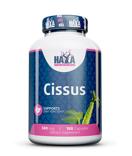 Cissus 500mg / 100