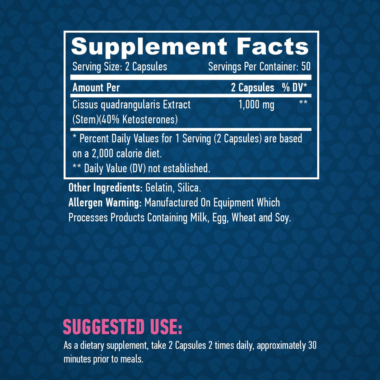 Cissus 500mg / 100