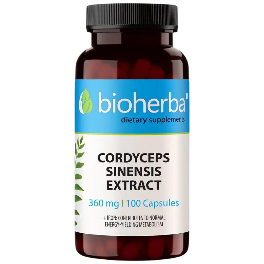 Cordyceps sinensis 360 mg - 100 kapsul