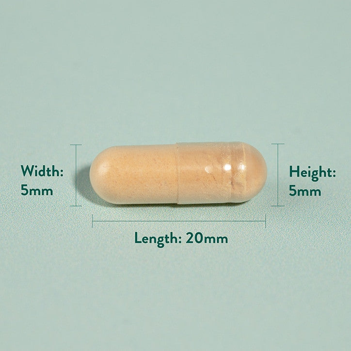 Ekstrakt mlečnih otrbkov (mlečni tresenje) 60 kapsule Holland & Barrett