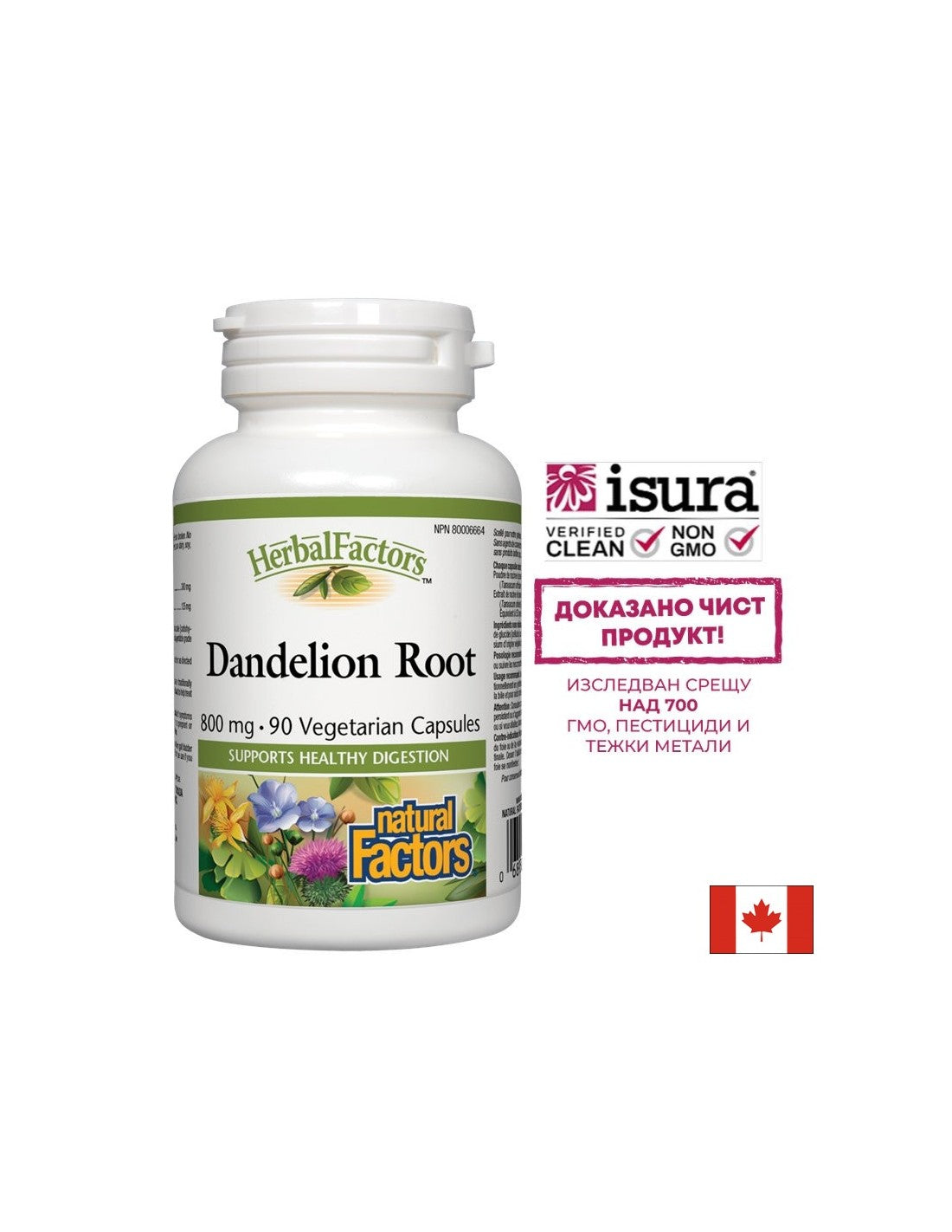 Dandelion Root 425 mg - 90 kapsul