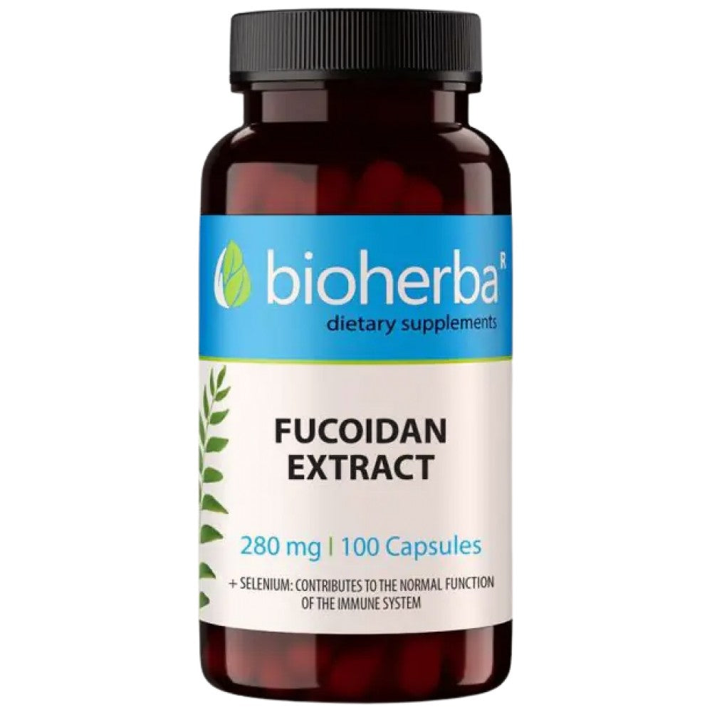 Fukoidanski ekstrakt 280 mg - 100 kapsul