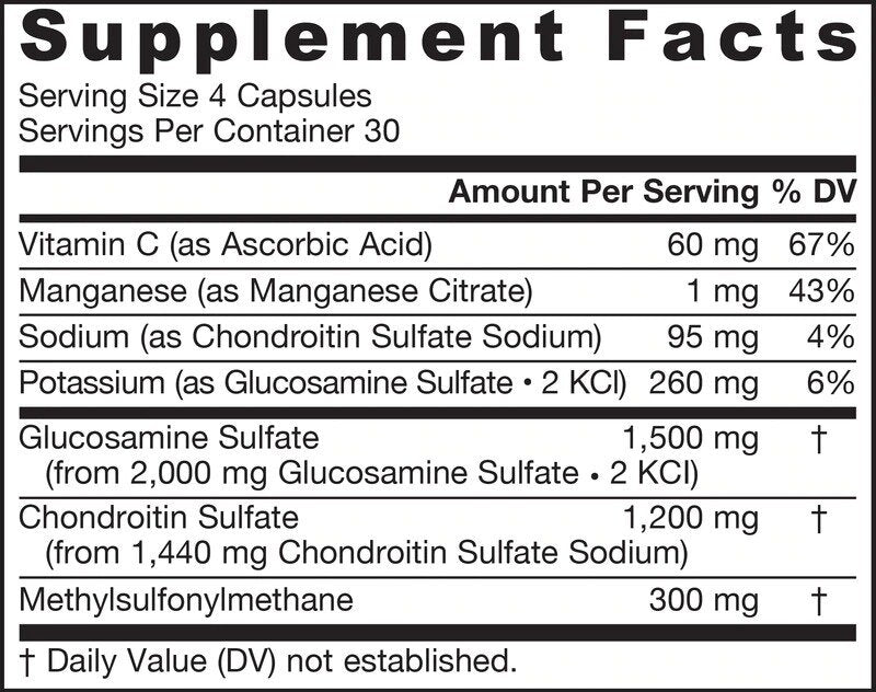 Glukozamin hondroitin MSM - glukozamin hondroitin MSM 120 kapsul