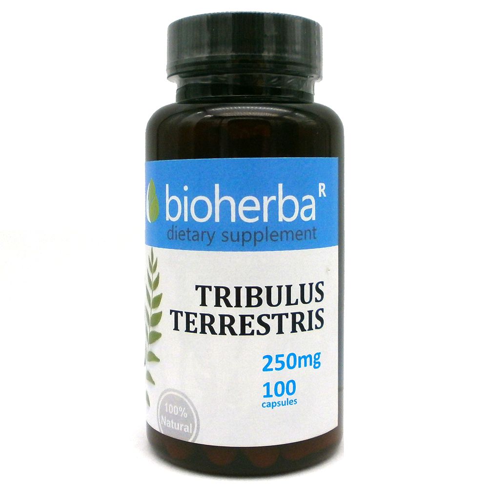 Tribulus Treseris 250 mg - 100 kapsul