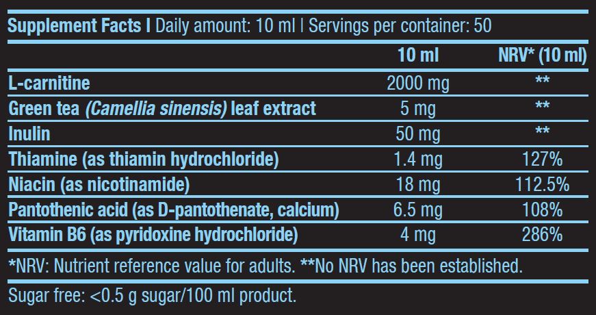 L-karnitin 100.000/500ml tekočina