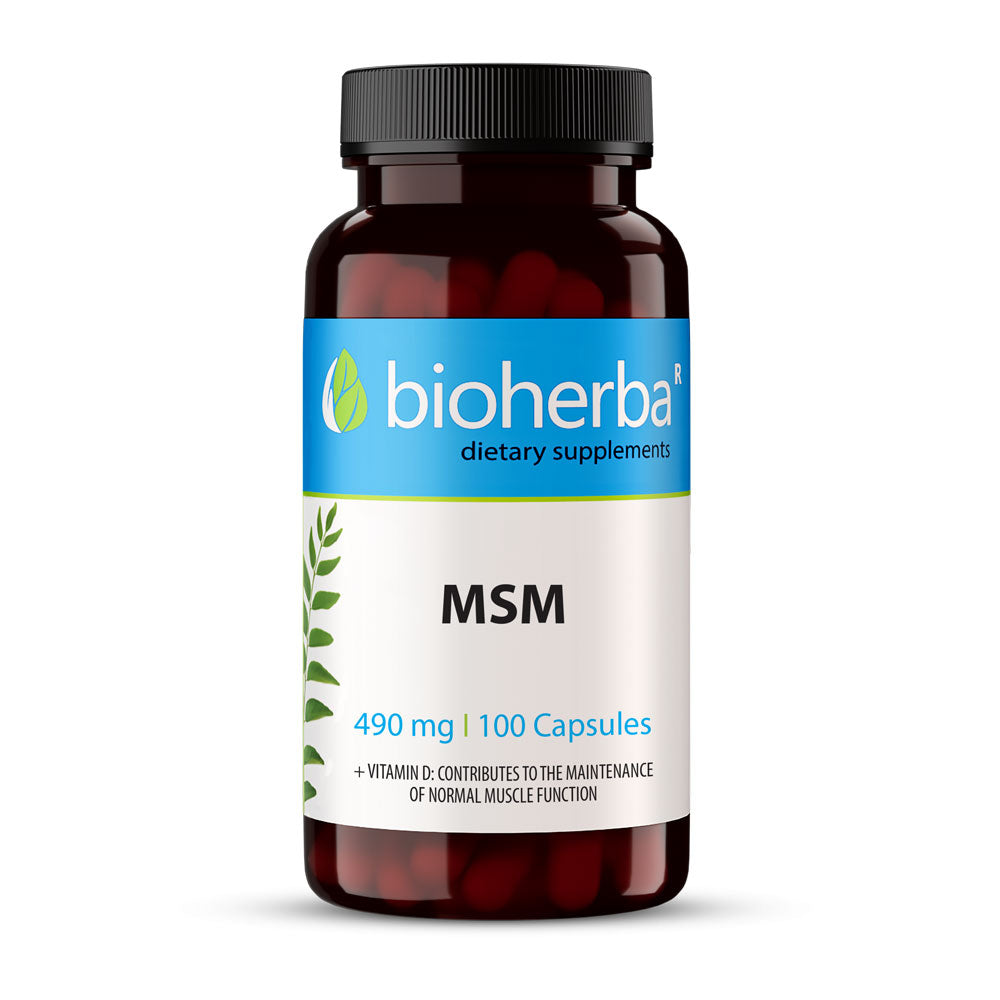 MSM 490 mg - 100 kapsul