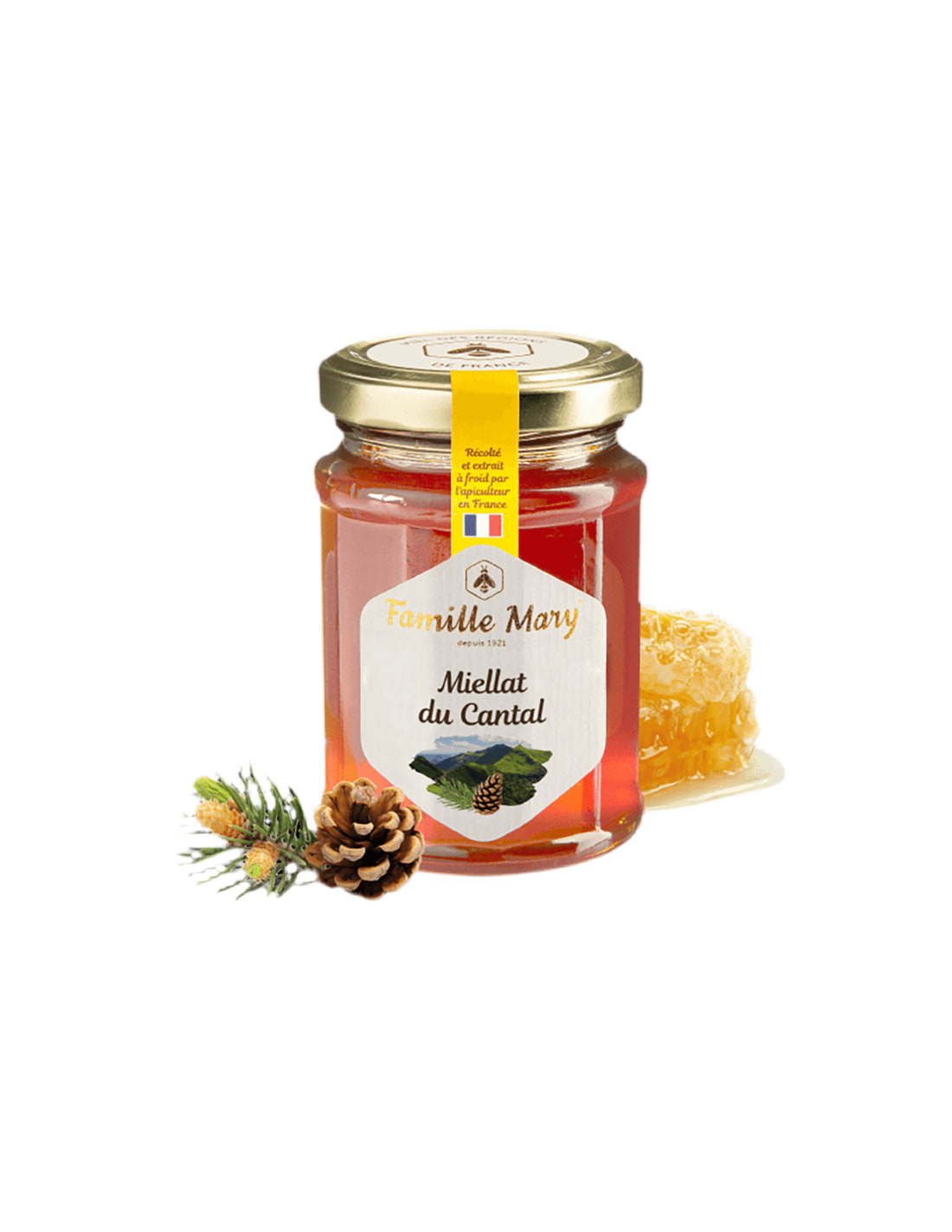 Miellat du Cantal / Bee Honey (Honeydew) iz borovih igel, 230 G Famille Mary
