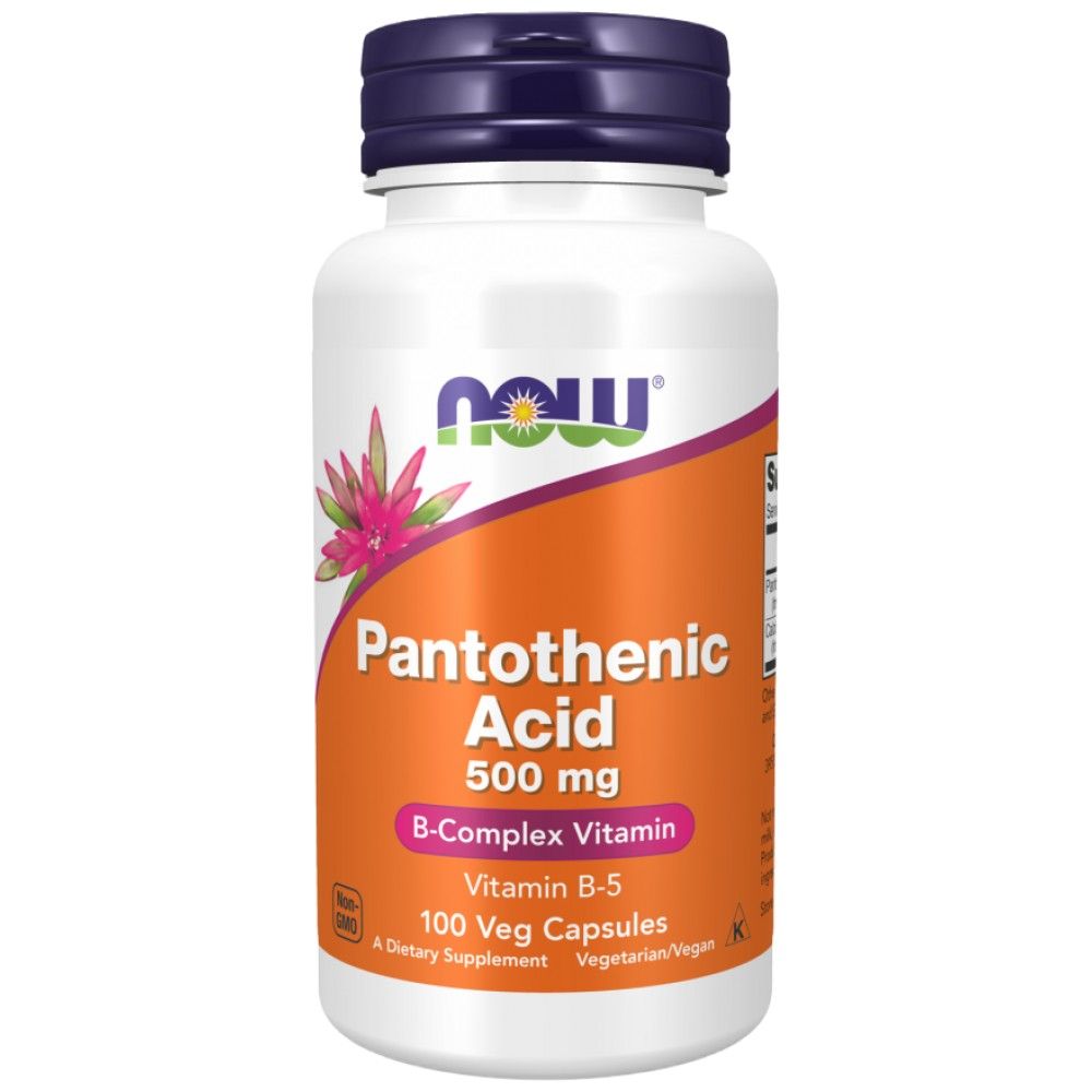 Vitamin B -5 / pantotenska kislina 500 mg - 100 kapsul