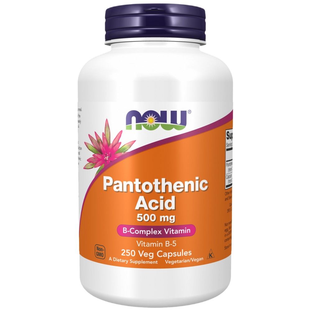 Vitamin B -5 / pantotenska kislina 500 mg - 250 kapsul