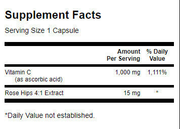 Vitamin C z vrtnimi boki 1000 mg - 250 kapsul