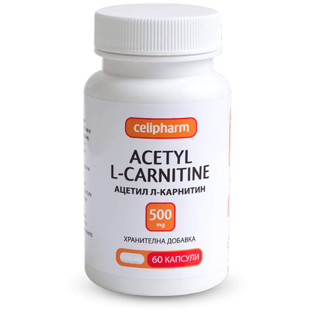 Acetil L-karnitin 500 mg 60 kapsul