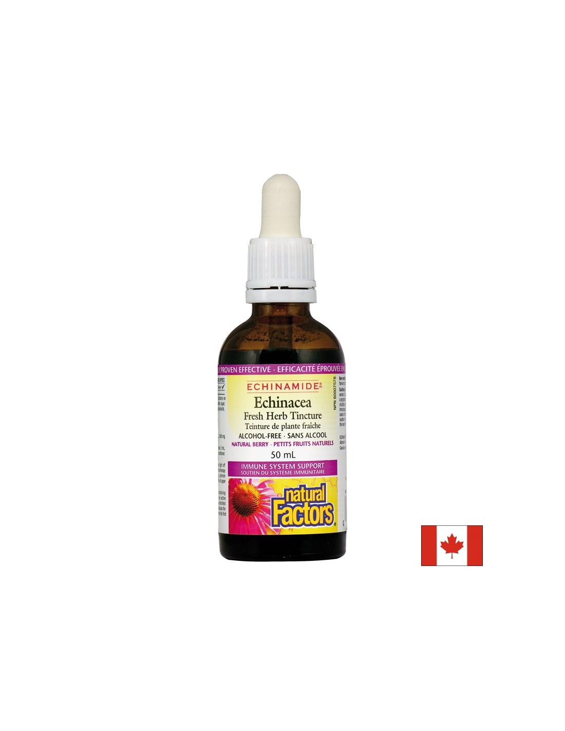 Echinacea Fresh Herb Tinktura 1000 mg - 50 ml
