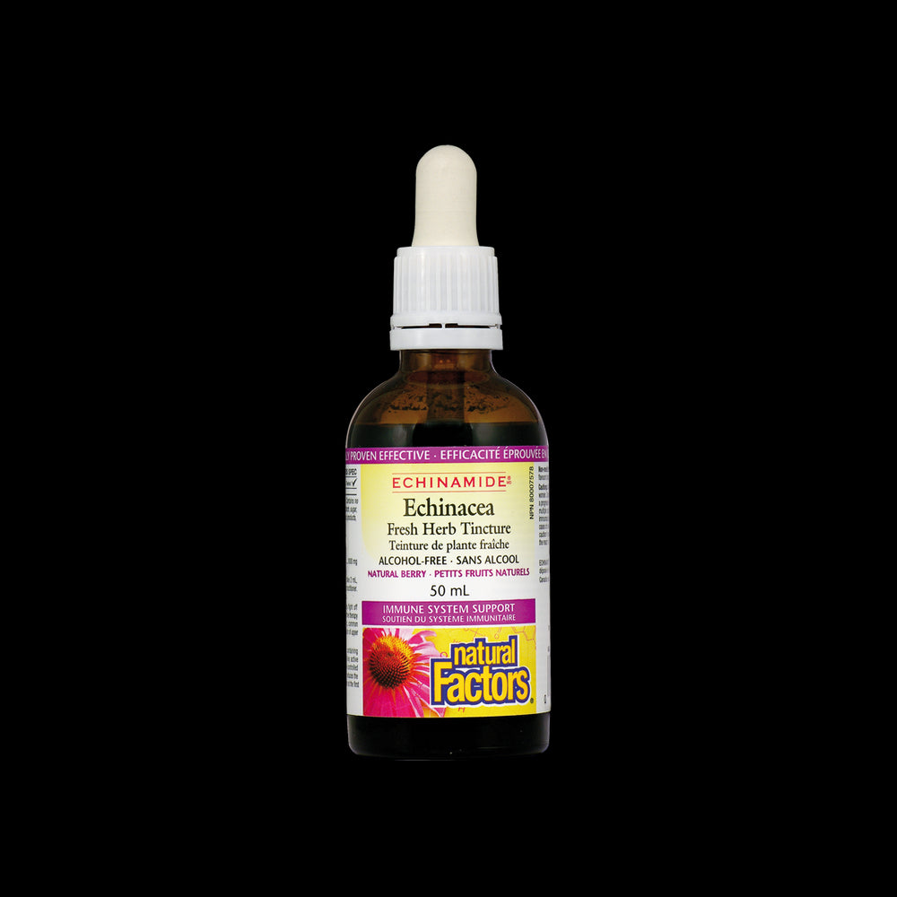 Echinacea Fresh Herb Tinktura 1000 mg - 50 ml