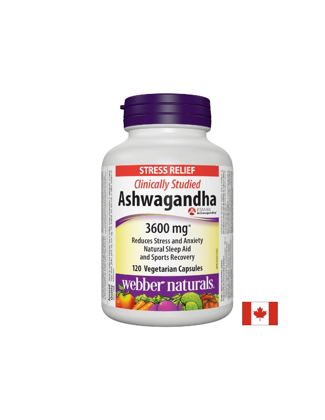 Ashwagandha / ashwagandha 300 mg x 120 kapsul