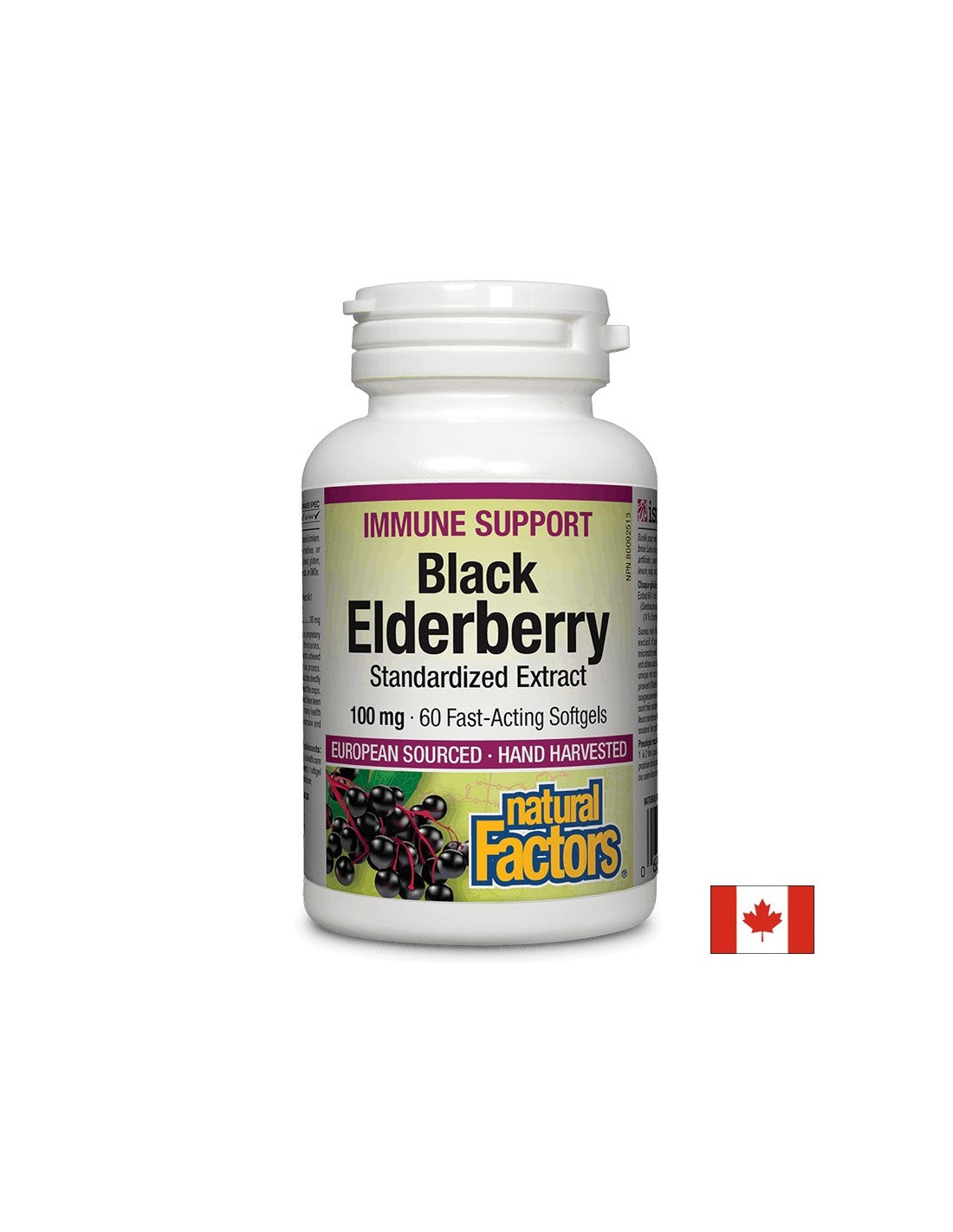 Black Elderberry Standardized Extract 100 mg - 60 Gel capsules - Nutra Best Europe