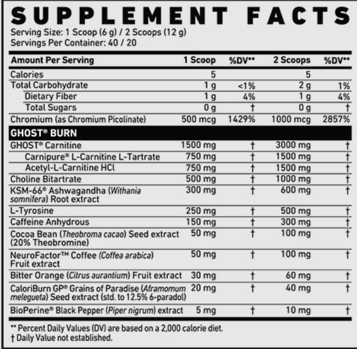 Burn V2 | Termogeni prah - 290 gramov