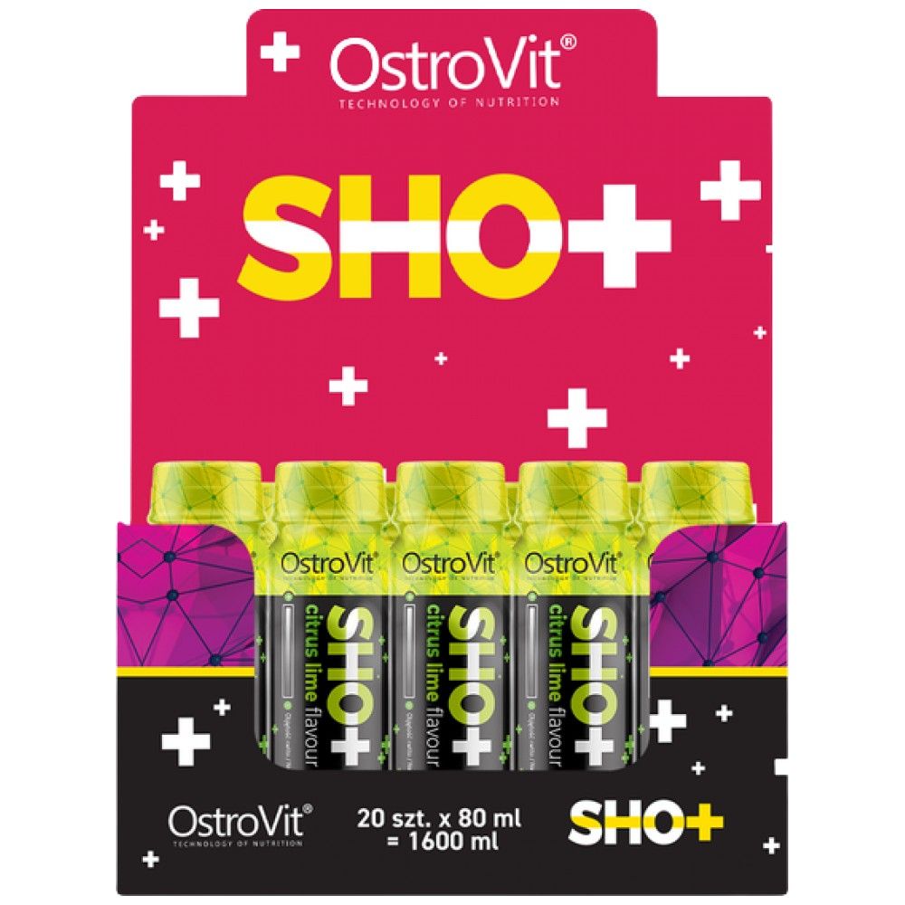 Pred vadbo - 20 x 80 ml