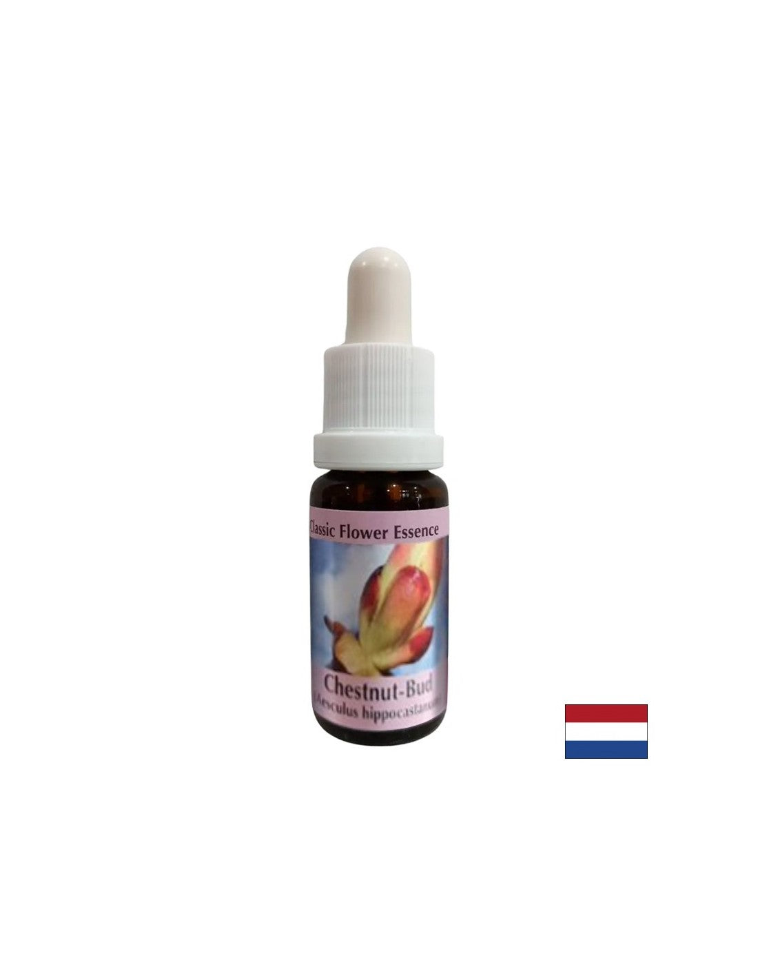 Odstrani blokade energije - Essence kostanjevega popka št. 7, pade 15 ml