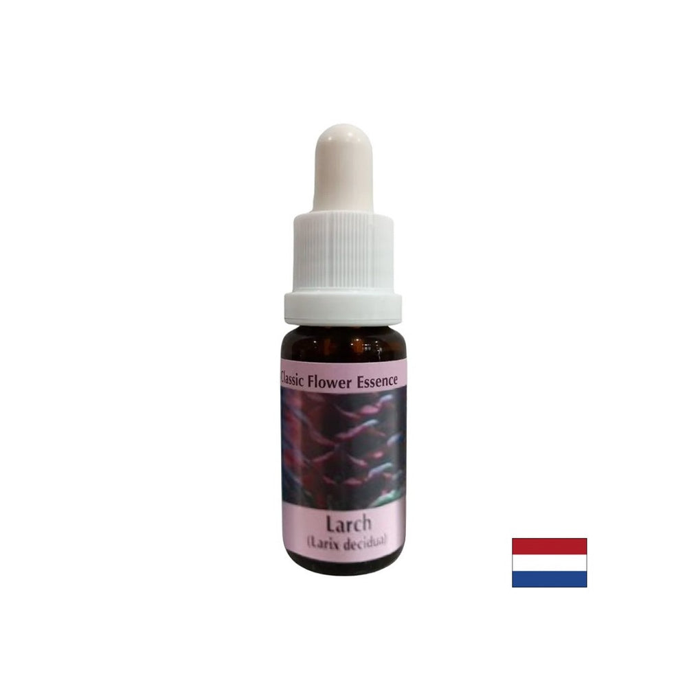 Poveča samozavest - majkova bistvo št. 19, pade 15 ml