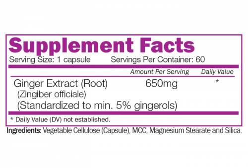 Ingverjev koreninski ekstrakt 650 mg - 60 kapsul