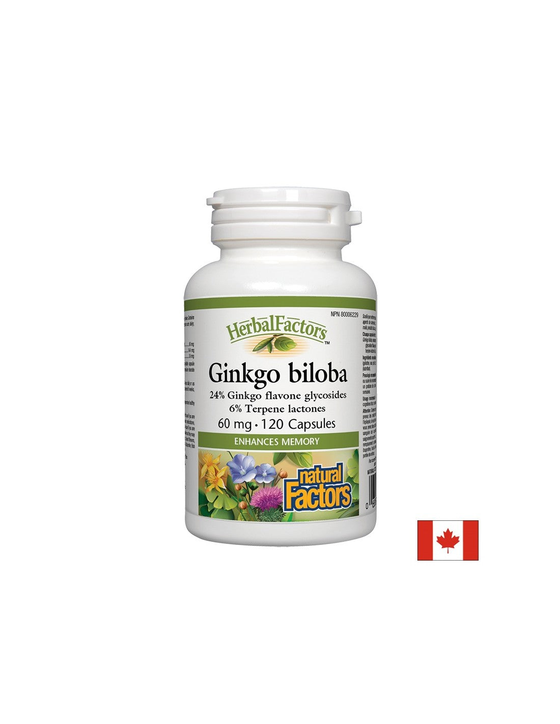 Ginkgo Biloba 60 mg - 120 kapsul