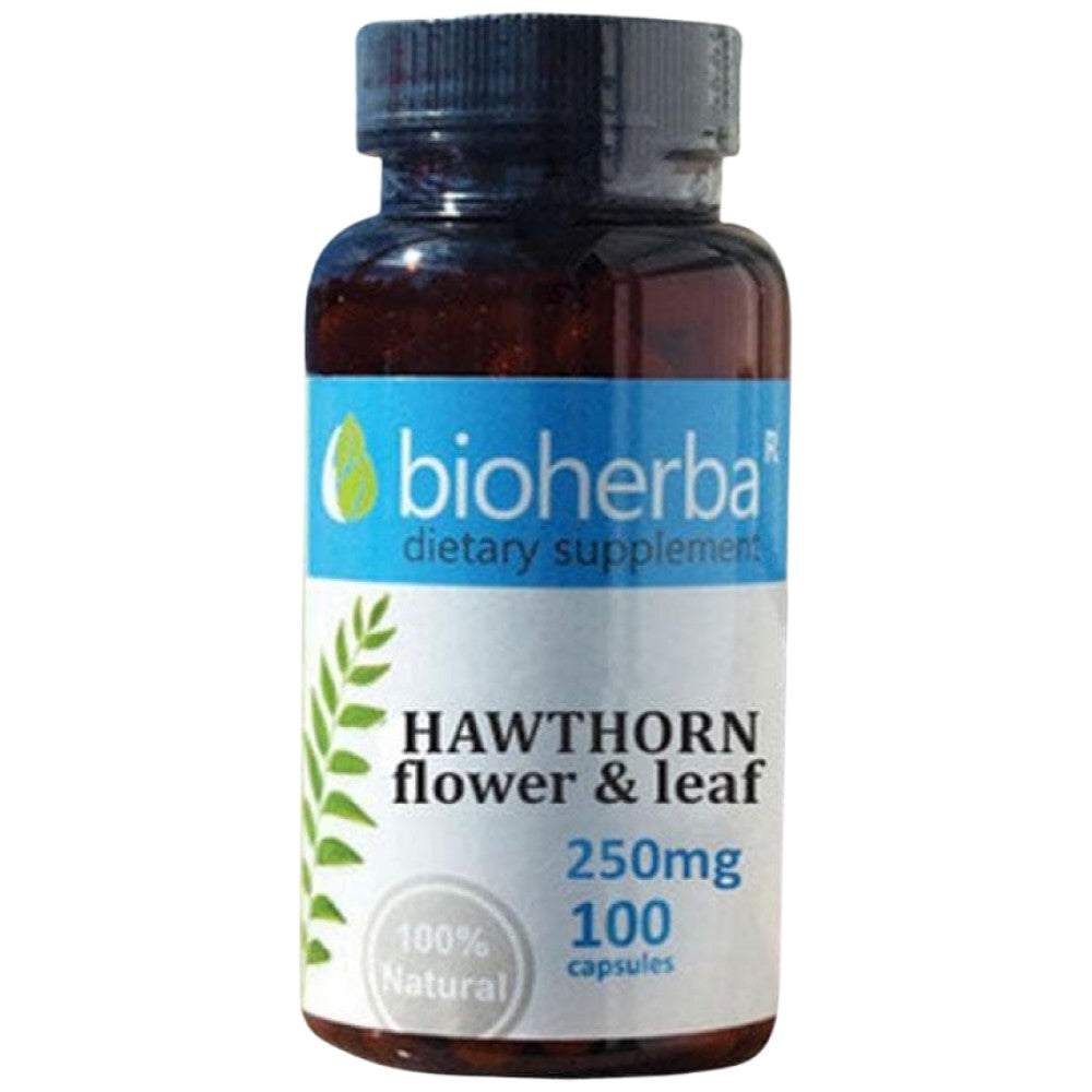 Hawthorn Flower & Leaf 250 mg - 100 kapsul