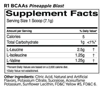 BCAAS | 100% mikronizirana formula 2: 1: 1 BCAA - 240 gramov