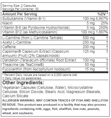 Shred Sport 60 kapsul