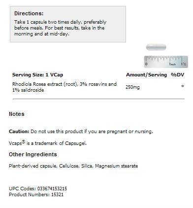Rhodiola rosea 250 mg - 60 kapsul