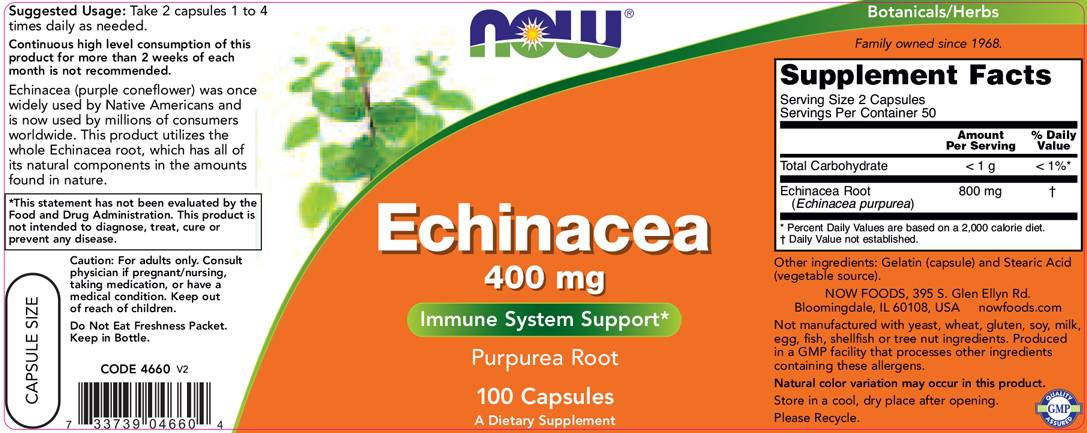 Echinacea 400 mg - 100 kapsul