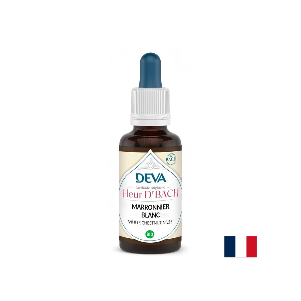 Spomin in koncentracija - konjski kostanj, bachove kapljice št. 35, 15 ml