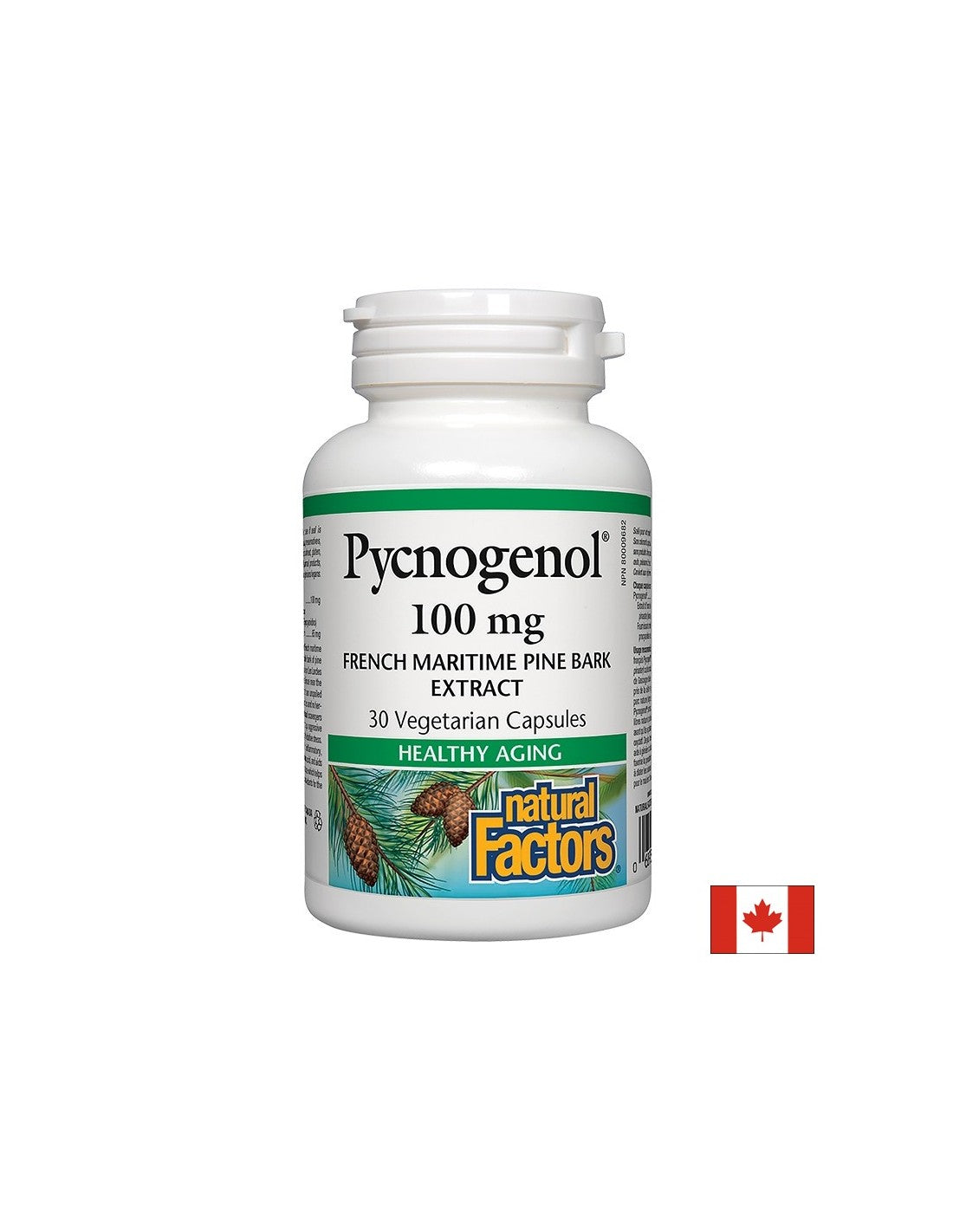 Pycnogenol® 100 mg - 30 capsules - Nutra Best Europe