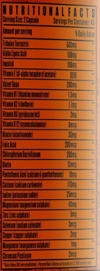 Testo Boost | s tribulom, vitamini in minerali - 90 kapsul