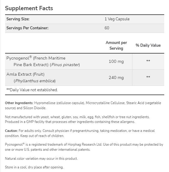 Pycnogenol 100 mg - 60 kapsul