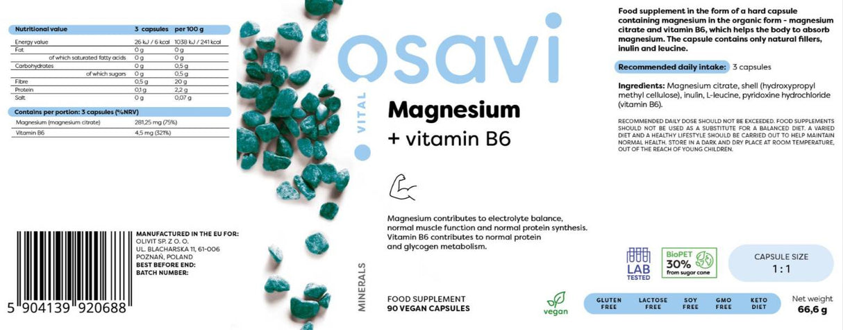 Magnezijev citrat + vitamin B6 - 90 kapsul